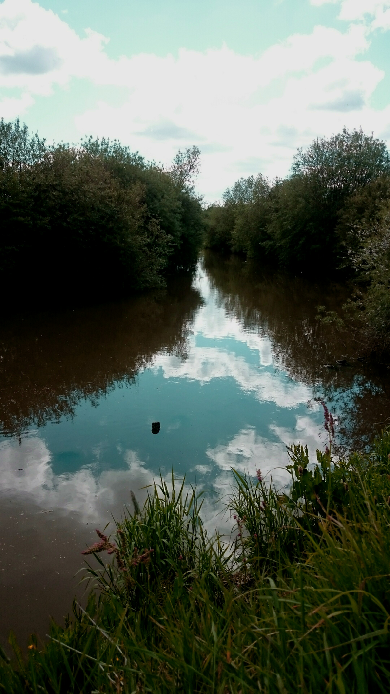 Illustration for article titled Photo Mission Gallery: Water